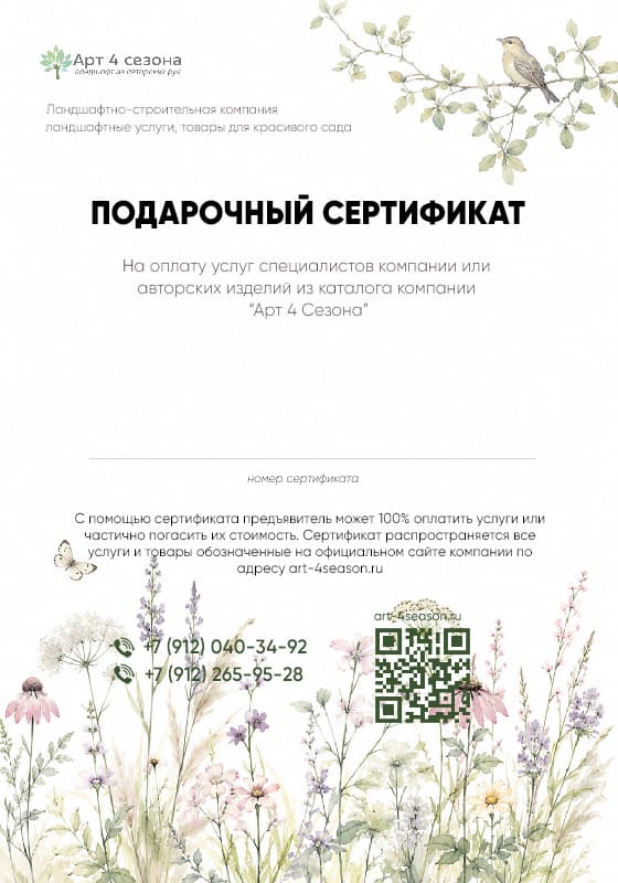 подарочный сертификат
